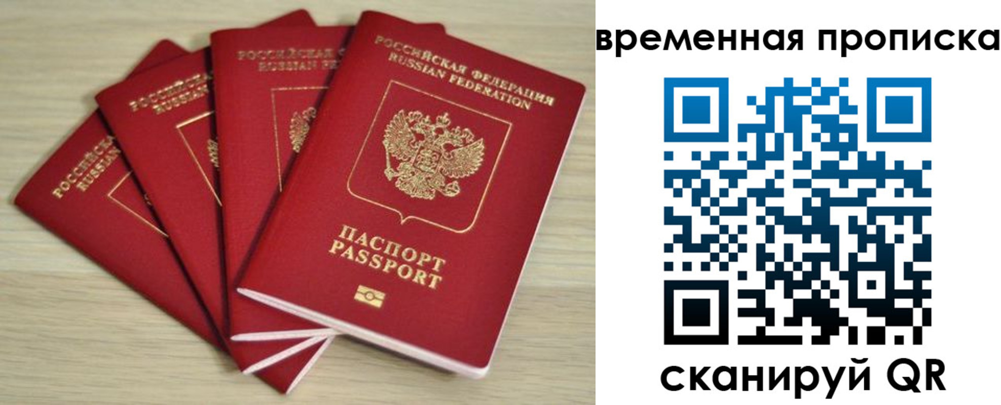прописка для школы в Курчатове